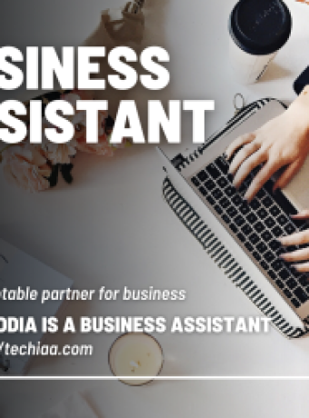 Business Assistant